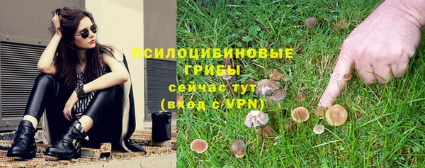 первитин Пестово