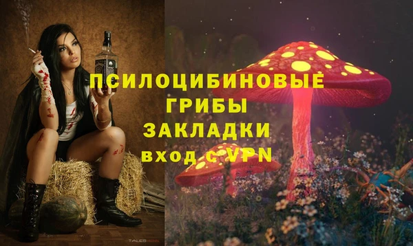 первитин Пестово