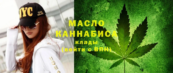 Альфа ПВП Пересвет