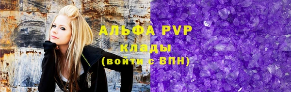 Альфа ПВП Пересвет