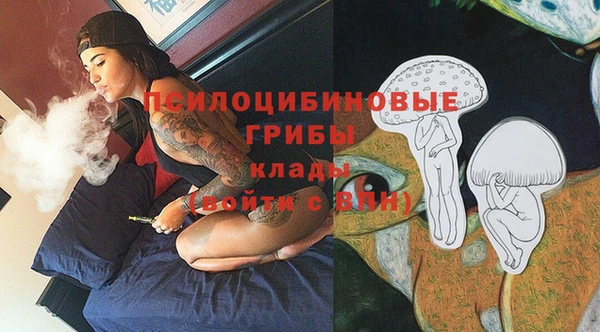 Альфа ПВП Пересвет
