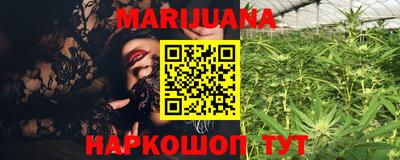 индика Гусиноозёрск