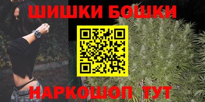 индика Гусиноозёрск