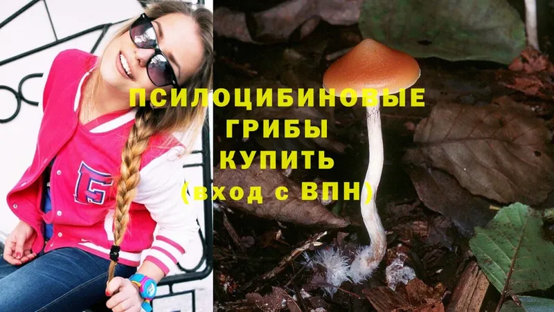 Галлюциногенные грибы Magic Shrooms  кракен рабочий сайт  Заводоуковск 