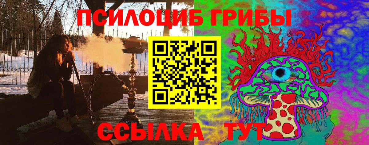 Псилоцибиновые грибы прущие грибы Заводоуковск