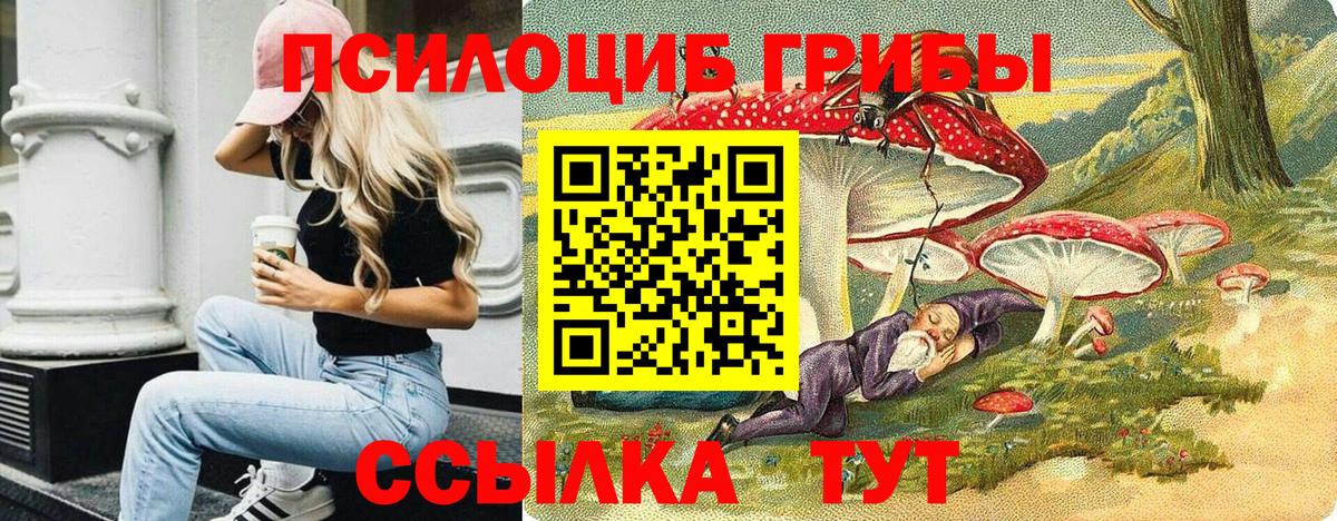 Галлюциногенные грибы MAGIC MUSHROOMS  Псилоцибиновые грибы мицелий  где найти   Заводоуковск 