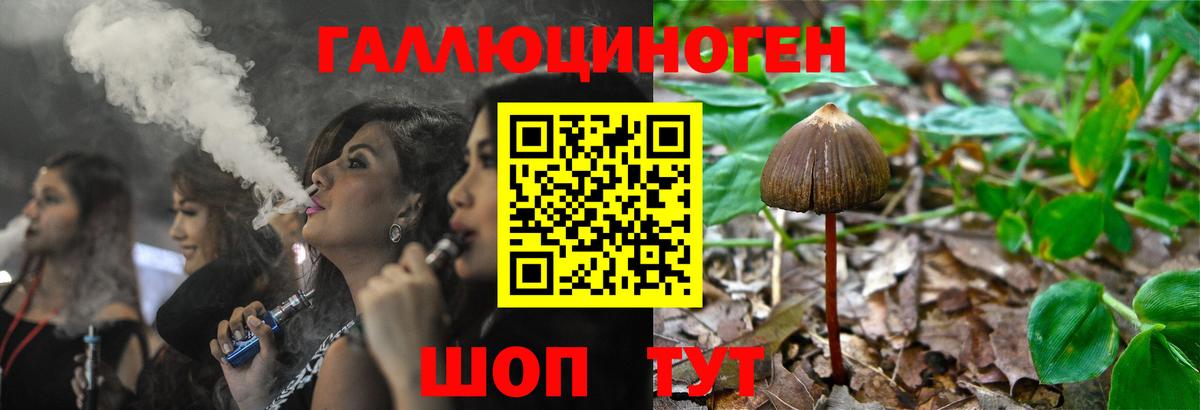 Заводоуковск  Псилоцибиновые грибы MAGIC MUSHROOMS  Вход с VPN 