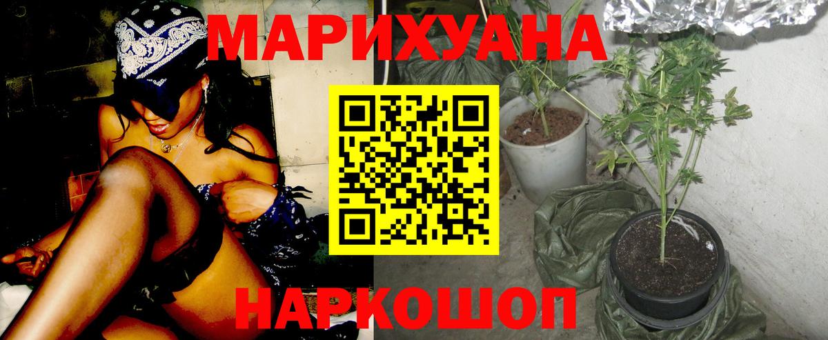 Бошки марихуана ГИДРОПОН Заводоуковск